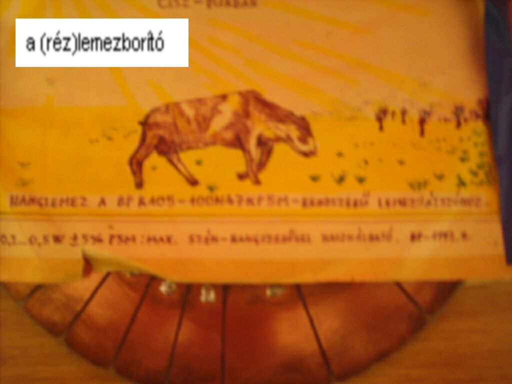 (réz)lemezjátszó (gyerekkori alkotásom)